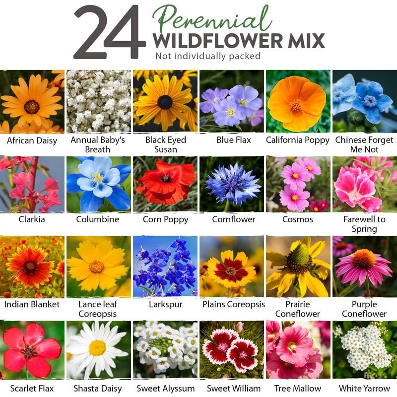 💐Spring Hot Sale 50% OFF💐Wildflower Seeds 90,000+ Bulk Seeds Mix 3oz