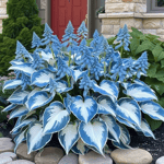 🎁2025 Special Offer🍃Rare Hosta Seeds🌿