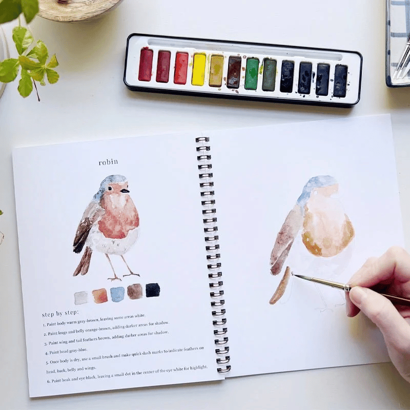 🖼️Beginner-Friendly💕 Watercolor Workbook